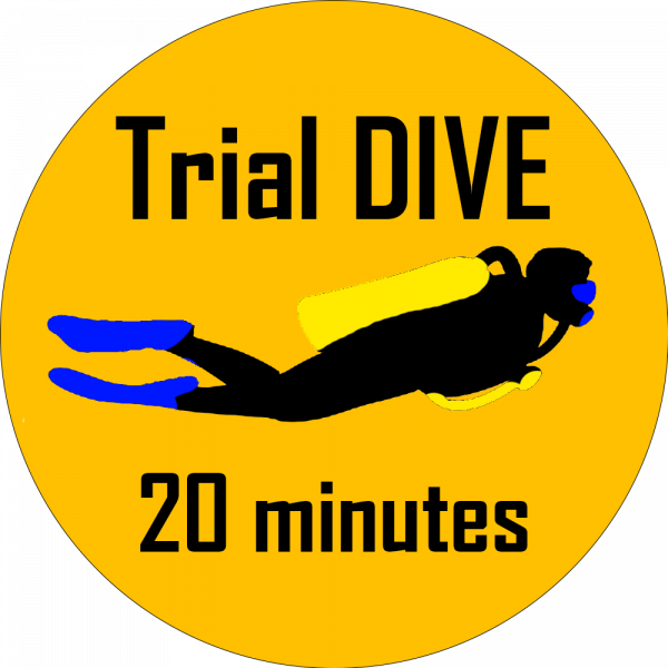 Icon trial dive 20