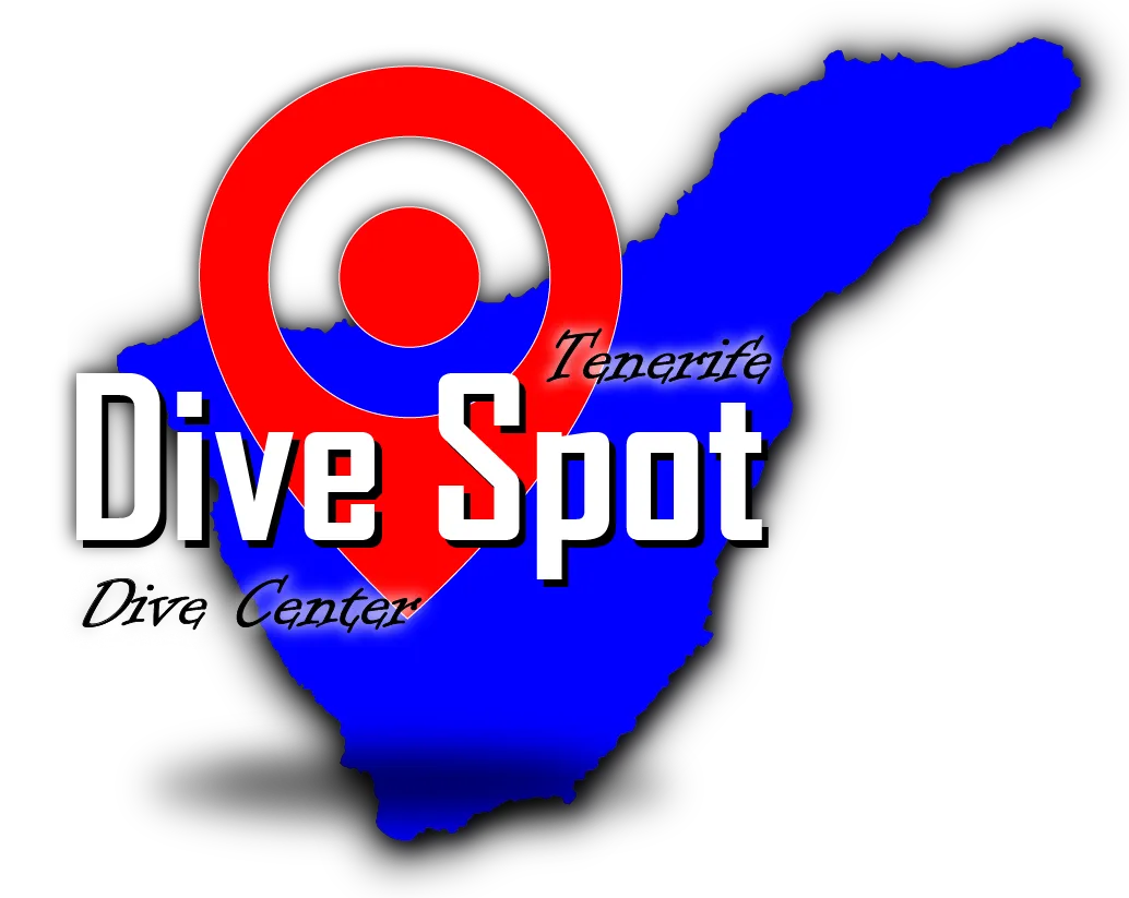 Best Dive Spot Tenerife