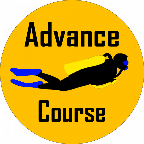 Icon Advanced diver