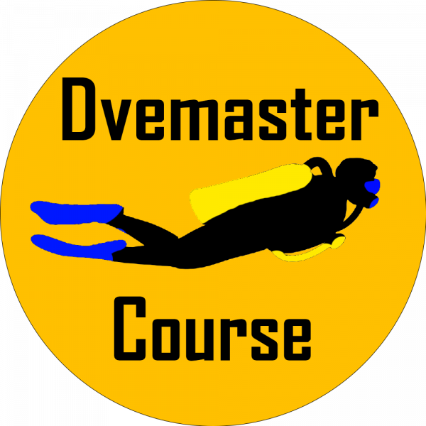 Icon divemaster course