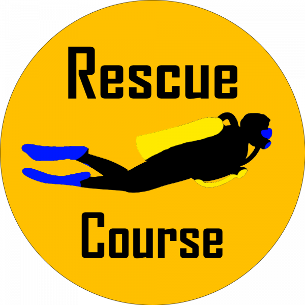 Icon rescue diver